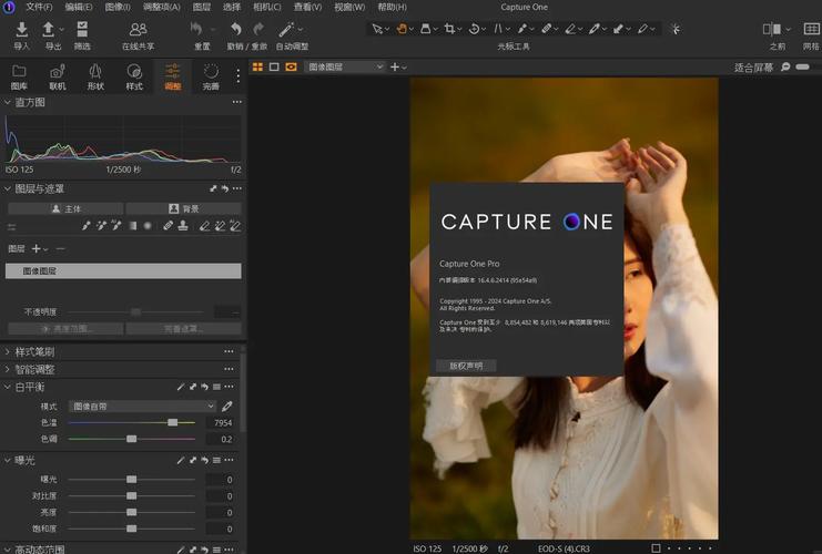 飞思Capture One Pro 16.5.6.2733 专业的摄影后期处理工具 免费下载,百度网盘下载! 飞思Capture One Pro 16.5.6.2733 专业的摄影后期处理工具 免费下载,百度网盘下载! - 腿腿教学网