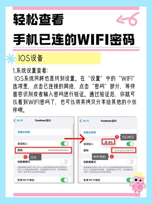 WiFi查看密码安卓版 v3.5,压缩包下载! WiFi查看密码安卓版 v3.5,压缩包下载! - 腿腿教学网