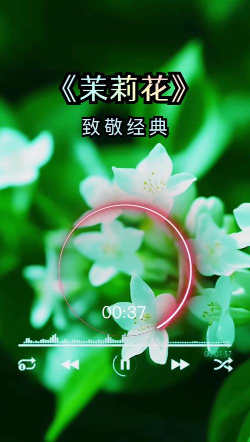茉莉音乐 v1.0.2安卓版,百度网盘下载! 茉莉音乐 v1.0.2安卓版,百度网盘下载! - 腿腿教学网
