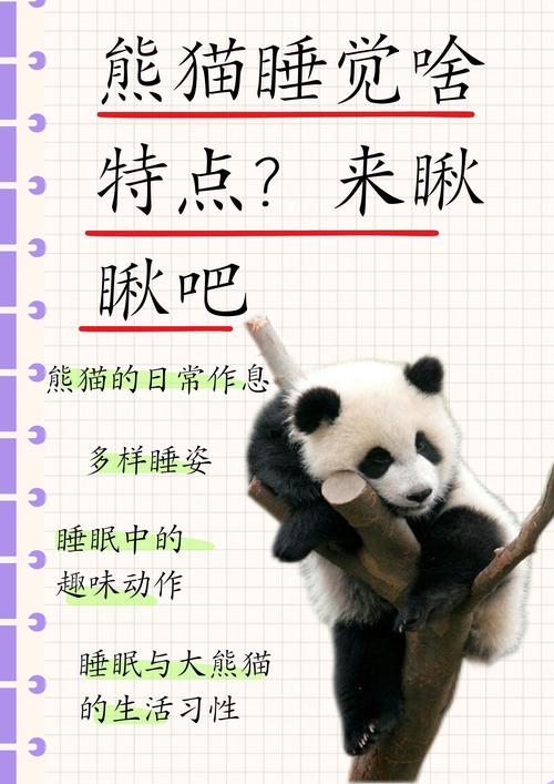 熊猫睡眠 v1.5.2安卓版，附详细介绍说明！ - 腿腿教学网
