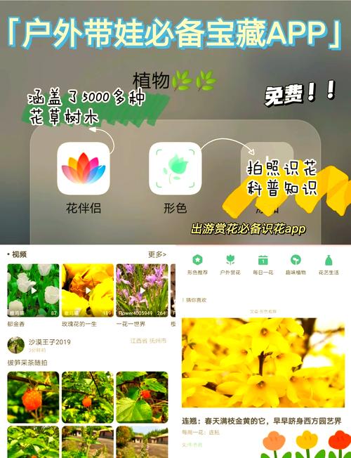 识花app v1.3.8官方版，附详细介绍说明！ - 腿腿教学网