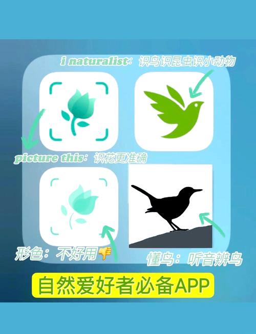 识花app v1.3.8官方版，附详细介绍说明！ - 腿腿教学网