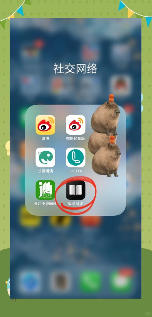 anyview阅读器 v4.1.3精简版，百度网盘下载！ - 腿腿教学网
