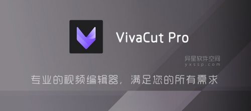 VivaCut永久会员版 v4.1.6,官方最新版! VivaCut永久会员版 v4.1.6,官方最新版! - 腿腿教学网