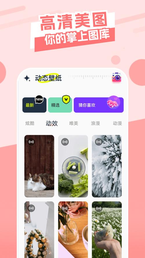 主题库app安卓版 v9.7官方版,附详细安装教程! 主题库app安卓版 v9.7官方版,附详细安装教程! - 腿腿教学网