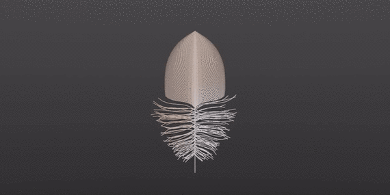 Blender羽毛生成插件Nuja – Feather And Plumage Tools，官方最新版！ - 腿腿教学网