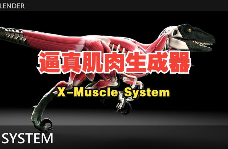 Blender插件 肌肉系统模拟工具 X-Muscle System 4.0，官方下载！ - 腿腿教学网
