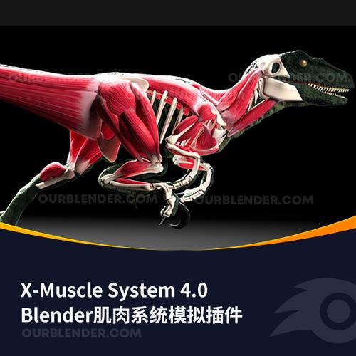 Blender插件 肌肉系统模拟工具 X-Muscle System 4.0，官方下载！ - 腿腿教学网