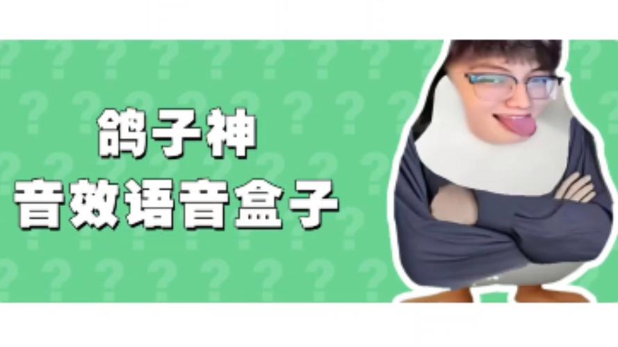 鸽子神语音盒 v1.0安卓版，百度网盘下载！ - 腿腿教学网