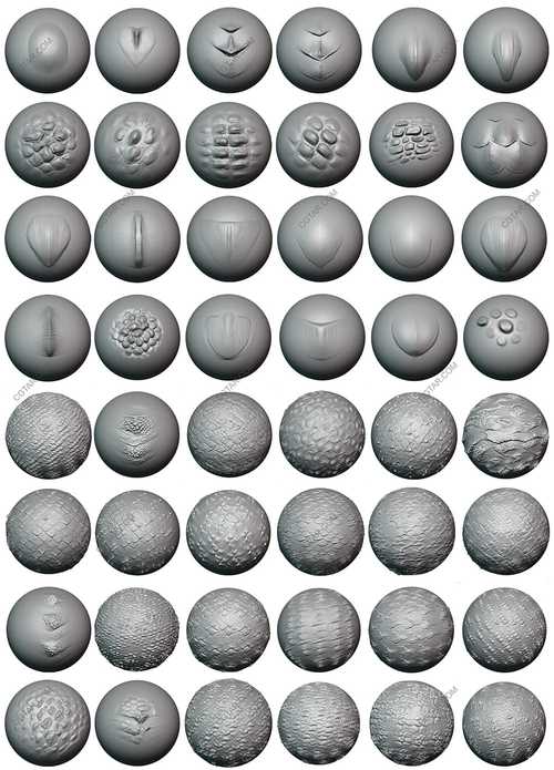 Blender预设 600组雕刻笔刷 600+Blender Sculpting Brushes,网盘下载! Blender预设 600组雕刻笔刷 600+Blender Sculpting Brushes,网盘下载! - 腿腿教学网