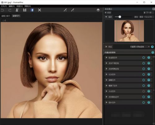 PortraitPro 15.7.3一键瘦脸美妆AI软件,中文免费版下载! PortraitPro 15.7.3一键瘦脸美妆AI软件,中文免费版下载! - 腿腿教学网