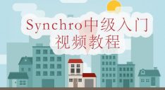 Synchro中级入门视频教程