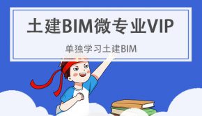 土建BIM微专业VIP