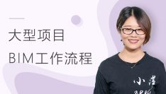 BIM项目管理：大型项目BIM工作流程