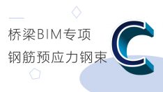 桥梁BIM：Revit之钢筋、预应力钢束建模