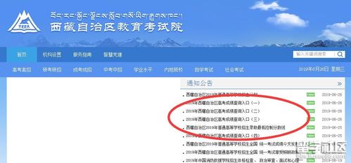 2023年西藏成人高考成绩查询系统官方网站 2023年西藏成人高考成绩查询系统官方网站 - 腿腿教学网