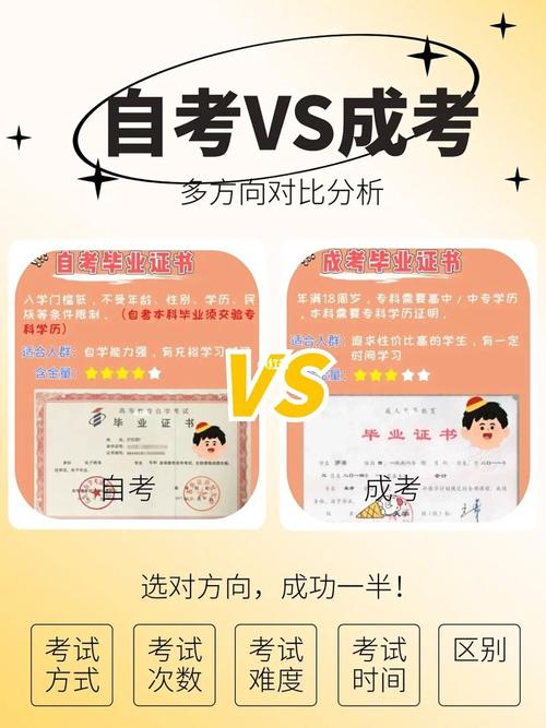 成人本科与自考本科:哪个更适合你? 成人本科与自考本科:哪个更适合你? - 腿腿教学网