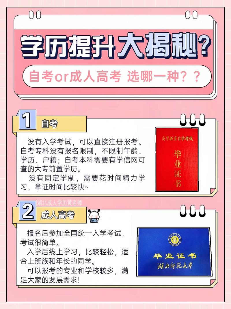如何选择:自考还是成人高考更适合你? 如何选择:自考还是成人高考更适合你? - 腿腿教学网