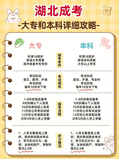 成人高考本科考研的报考条件是什么？ - 腿腿教学网