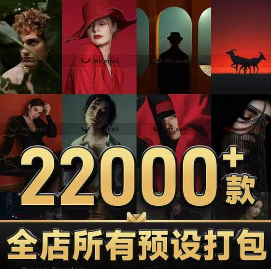 lr预设ps滤镜pr调色lightroom人像磨皮lut插件手机日系婚礼胶片，官方最新版！