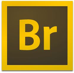 Adobe Bridge 2025 v15.1.1免费激活版下载